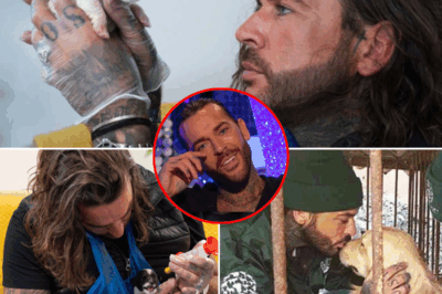 Pete Wicks Breaks Down Over Dying Dog. He cried. He paid. He begged the world not to look away. Pete Wicks met a dying dog — and vowed he wouldn’t let him die alone