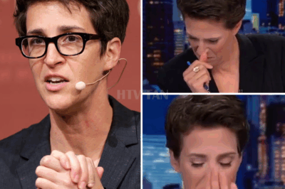 Rachel Maddow Breaks Down on Live TV While Reporting on Children Separated at the Border