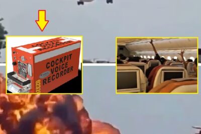 Second AIR INDIA BLACK BOX is found: Voice recording reveals the te:rri:fying screams of 241 passengers moments before the plane turned into a fireball