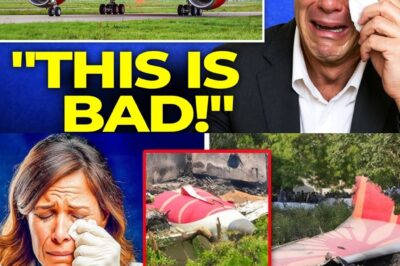 Scientists Finally Solve Air India Flight 171 Mystery — And the Truth Behind the Crash Is More Disturbing Than Anyone Feared