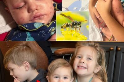 2-year-old Beckham Reed is clinging to life in a Georgia hospital after suffering over 150 yellowjacket stings, an attack that left the toddler unresponsive and requiring life support. According to family reports, Beckham was riding his electric toy car in the backyard when he unknowingly ran over a yellowjacket nest, triggering a vicious swarm that engulfed his small body within seconds.