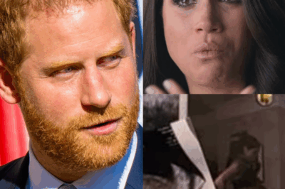 “Enough Is Enough!” Prince Harry Explodes Over ‘Fake Pregnancy’ Rumors — Shuts Down Trolls With Fiery Declaration: “Meghan Was ABSOLUTELY Pregnant!” As Viral Clips Resurface, The Duke Finally Confronts The Conspiracy That Haunted His Family For Years
