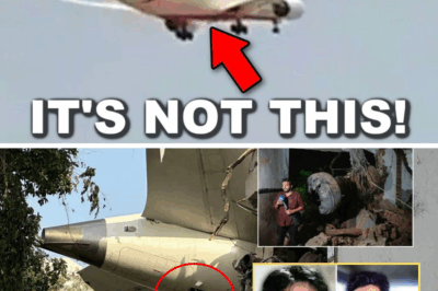 SHOCKING DETAIL: The voice of the Air India 171 co-pilot breaks as he repeats “I didn’t touch it” — cockpit recording reveals rising panic over a ghost shutdown