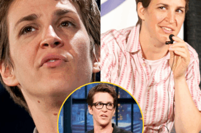 SHOCKING MOVE: RACHEL MADDOW IN SECRET TALKS TO LAUNCH HER OWN INDEPENDENT NEWS NETWORK!