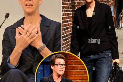 Insider Confirms: Rachel Maddow In Secret Talks To Launch Her Own Network — Fans Celebrate Her Escape From MSNBC’s Control!