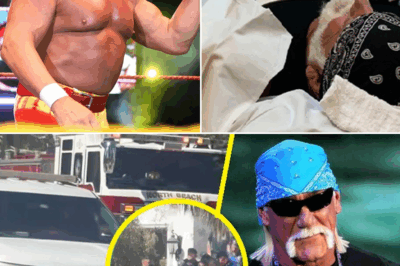 HEARTBREAKING: A VIDE0 Captures Hulk Hogan’s Final Moments – One Sh0cking Detail Leaves Doctors Stunned