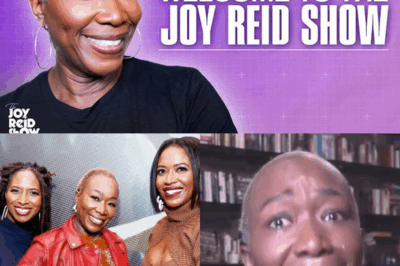 EXCLUSIVE: MSNBC Thought They Silenced Their ‘Dangerous’ Host. Four Months Later, Joy-Ann Reid Has 160,000 Paying Fans—and a Media Empire That’s Making Her Old Bosses Panic