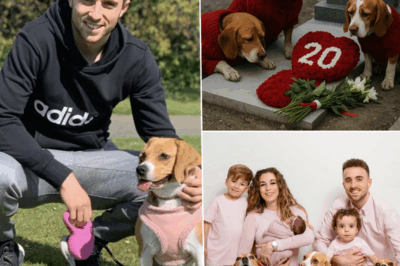 After Diogo Jota’s sudden passing, his family’s three beloved dogs become visibly sad, refusing to eat for days. The dogs’ actions by Jota’s grave move and heartbreak everyone