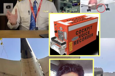 “One Tiny Err0r Changed Everything”: Expert Reveals Sh0cking Theory About Air India Co-Pilot’s Simple Mistake That May Have Caused Crash K*lling at Least 270