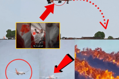 LEAKED VIDEO: 58-Second Cockpit Footage Shows Warning Light Flashing Just Before Both Engines Quit on Air India 171