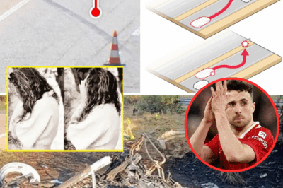 New Details Emerge from Jota’s Fiery Crash — What Police Discovered at the Scene Will SH0CK You!