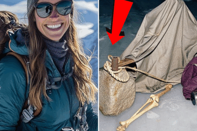 Tourist Vanished in Alaska — 7 Years Later Found Under Ice with Rocks Tied to Her Feet…