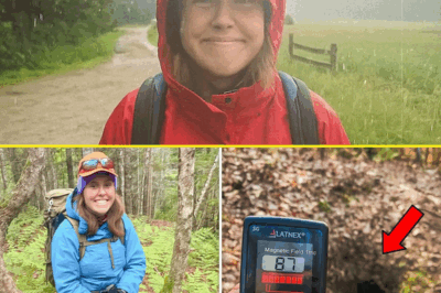 Hiker Vanished in Appalachians, 6 Years Later Explorers Pick Up a Strange Signal Near Cave…