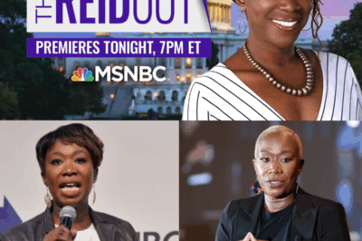 After MSNBC’s Attempt to Silence Her, Joy-Ann Reid Is Now the Media Sensation with 160,000 Subscribers and a Rising Empire That’s Shocking Industry Executives!”