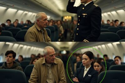 An elderly veteran was quietly asked to give up his seat on a flight — just to make room for a family… He didn’t argue – he just stood up! But 9 minutes after takeoff was delayed, the pilot walked out of the cockpit… and saluted him in front of everyone!