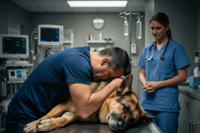 The dog hugged its owner one last time before being put to sleep – and suddenly the veterinarian shouted: “Stop!” – what occured next made everyone in the clinic cry