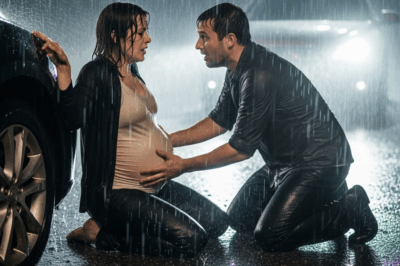 A Truck Driver Rescues a Woman in Labor and Discovers She Is the Wife of His Hidden Twin Brother