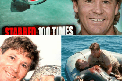 T.R.A.G.E.D.Y: The tragic final dive of Steve Irwin – Wildlife conservationist and TV presenter…