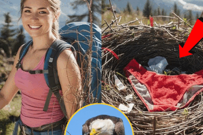 YOUNG HIKER GOES MISSING IN 2023 — 11 MONTHS LATER RANGER FINDS THIS INSIDE EAGLE’S NEST…