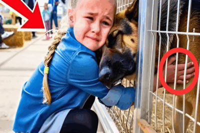 Little Girl Walks Into Police Dog Auction Alone — What Happened Next Moved Everyone to Tears