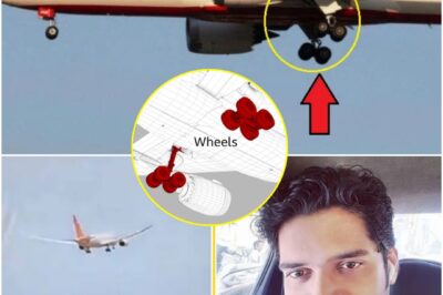 A small error led to a devastating tra:gedy on the Air India flight — the cause was uncovered in the two black boxes, and the world was left in sh0ck by the truth