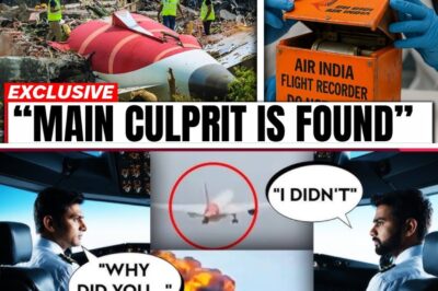 “I didn’t touch it” – Leaked audio from Air India 171 captures a co-pilot’s panicked voice as systems fail one by one, with evidence now pointing to a deliberate override command entered moments earlier