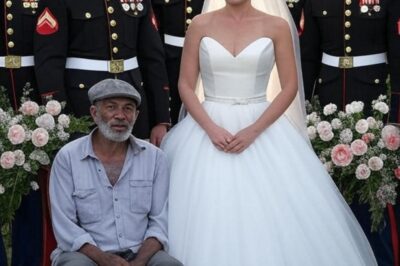 For Six Years, She Left Food for a Quiet Homeless Man—On Her Wedding Day, 12 Marines Revealed His True Identity