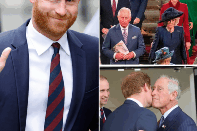 Prince Harry’s latest peace offering to estranged dad King Charles, brother Prince William revealed