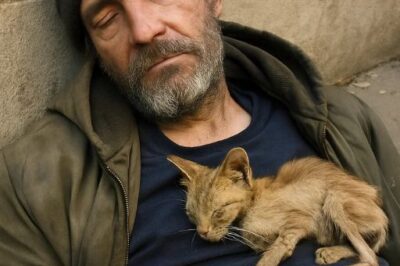 He Had No Home, No Family—except for the Cat That Slept on His Chest Every Night. “she Chose Me,” He Said. “that’s All That Matters.”