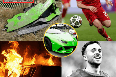 Breaking news from the police: Diogo Jota was found to have transferred a large sum of money before the accident, 20 minutes later the reply message made him completely lose control, the content only had 3 words