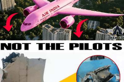 BREAKING: Air India Flight 171 co-pilot’s voice cracked as he whispered ‘I’m not ready’ — full black box recording finally released after weeks of internal delays