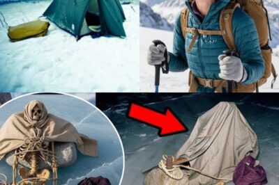 Missing tourist in Alaska — 7 years later, found under the ice with stones tied to her feet…