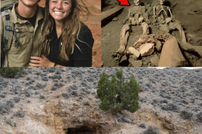 Two tourists vanished in the Utah desert in 2011 — in 2019 they were found in an abandoned mine…