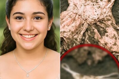 The Daughter of a Gas Station Owner Disappeared at Her 15th Birthday Party — Six Years Later…