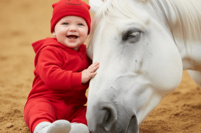 My 2 year old daughter loved playing with the neighbor’s horse and spent hours playing with it, but one day we learned something terrible about this horse.