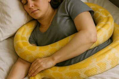 The woman raised a huge python at home: one day the snake began to behave strangely, stopped eating and wrapped itself around the waist of the owner,