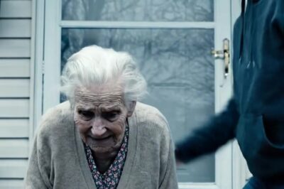 The mother was kicked out into the street by her daughter because of her old age. Unexpectedly, she hid a secret that made her daughter regret…