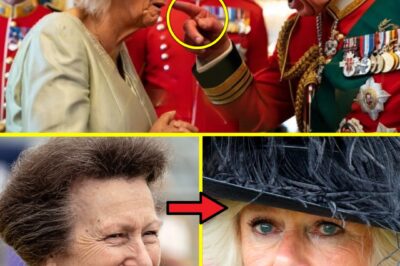 IT’S TIME! King Charles CUTS OFF Camilla from the ‘Queen Consort’ Title in Unprecedented Palace Showdown, Even Princess Royal Left SPEECHLESS!