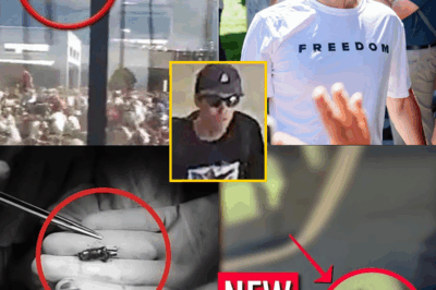 A subscriber-submitted deep-dive into the Charlie Kirk case is delivering what could be the definitive, and darkest, explanation yet