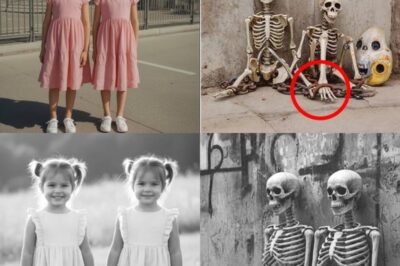 Twins disappeared from Disneyland in 1985 — 28 years later, a dark secret resurfaced