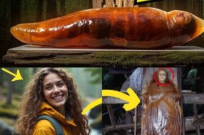 A young hiker disappeared without a trace in the Smoky Mountains. Her smile lit up the trails, her friends described her as a force of unstoppable energy