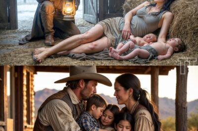 A lonely rancher heard noises in the barn. Upon arrival, he found a young woman with two newborns and