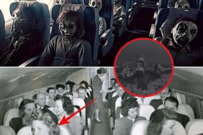 UNBELIEVABLE: WWII Mystery Plane Unearthed After 70 Years – What Was It Hiding ?