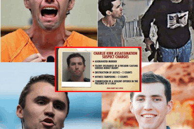 Tyler Robinson Apologizes In Court And Reveals Who Really K!lled Charlie