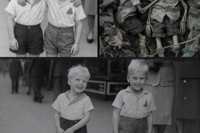 In the summer of 1947, two brothers vanished while playing in Stanley Park, the green heart of Vancouver.