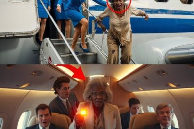 An Elderly Black CEO in Disguise Was Blocked from Boarding Her Own Plane, and Then Everyone Trembled!