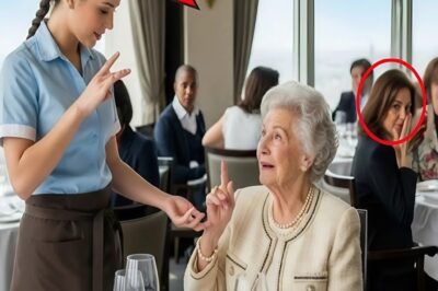 What would you do if you were a humble waitress and saw a billionaire’s deaf mother being ignored by everyone in a luxurious restaurant?