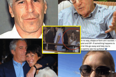 Woody Allen Breaks His Silence, and the World Can’t Believe What He Just Said