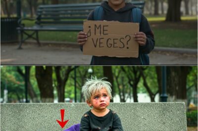 He was only 5 years old… He slept in the cold in the park and said that his mother watched him from heaven