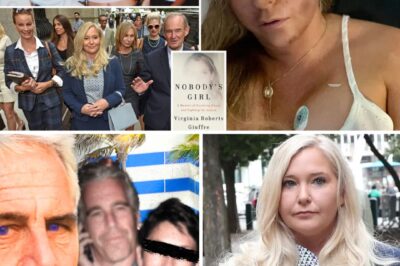 Secrets of the Mansion: Behind the Walls of Epstein’s Empire